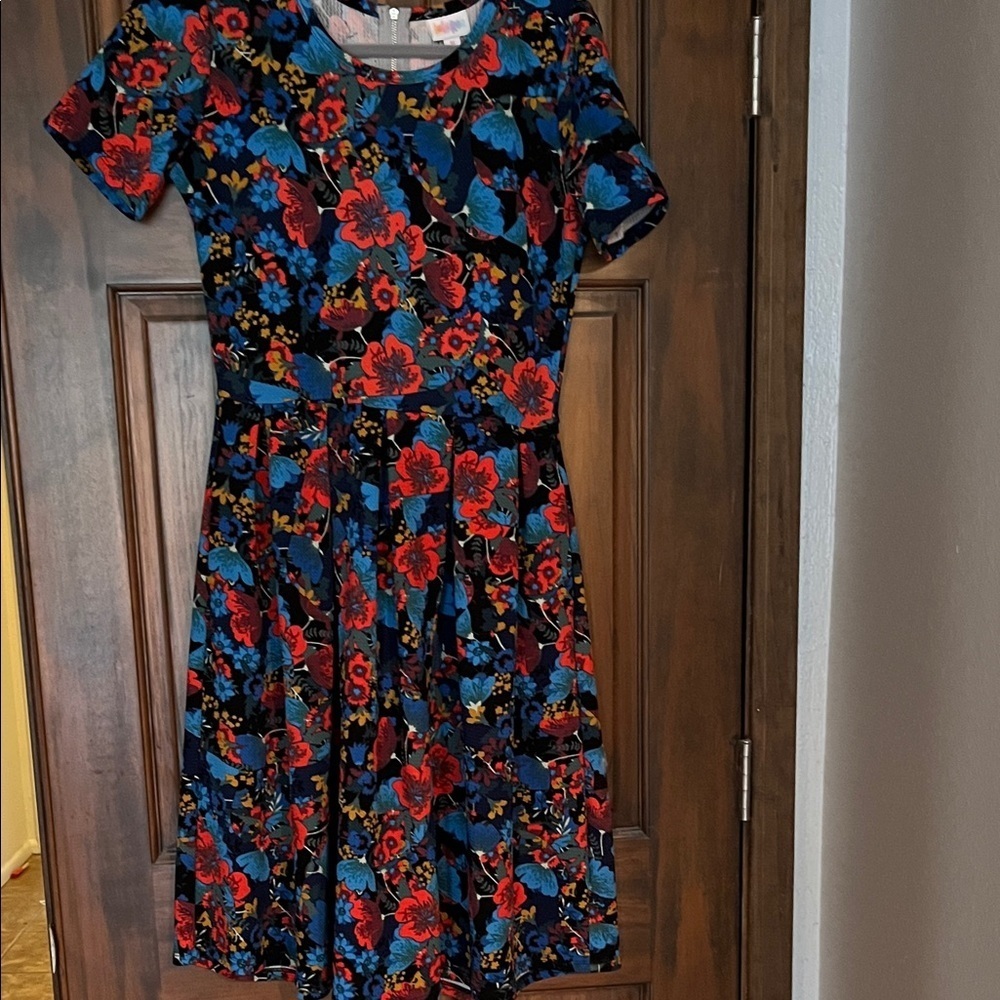 LuLaRoe Floral Dress with pockets Size M A Line Zipper Back